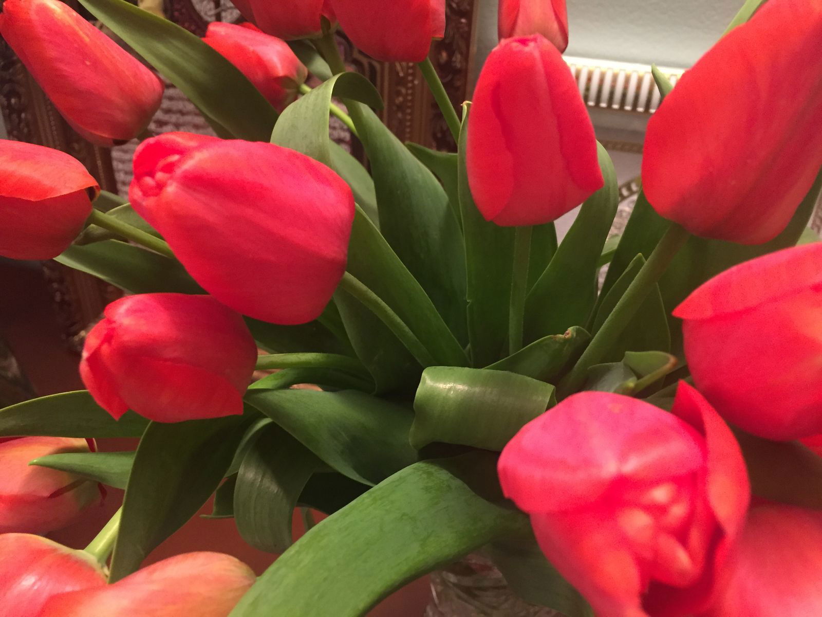 Шохида Саидкамалова