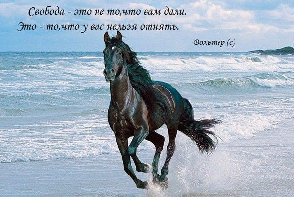 Свободная Непокорная