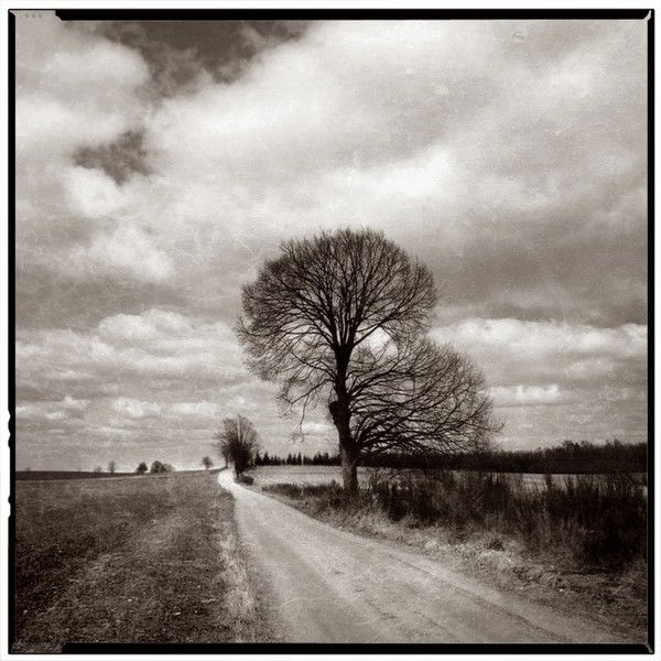 Алиса Погадаева