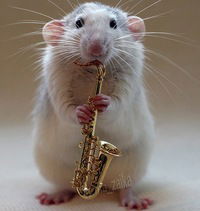 Марина Лукаш