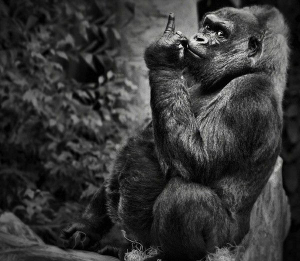 Виктор Шмидт