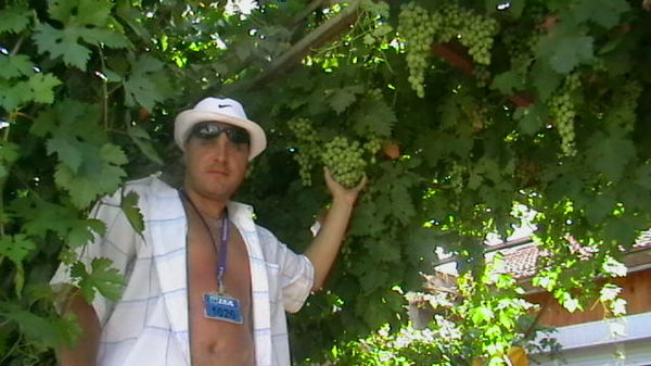 Алексей Кувыкин