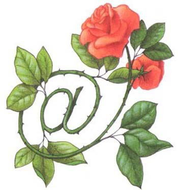 ~Скромная~ ~Мu Леgu~