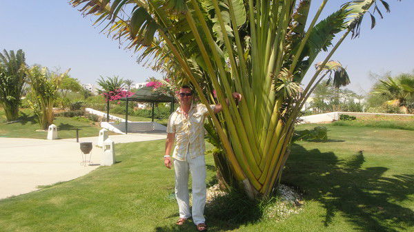 Денис Гусев