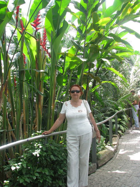 Света Красюкова