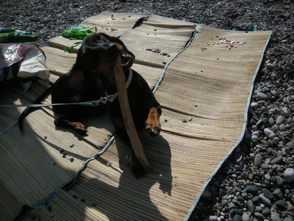 Станислав Хренов