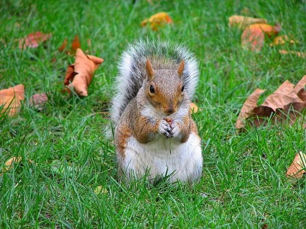 Ильмира Бурангулова