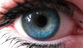 Елена Елена