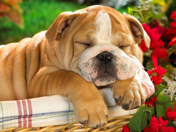 Татьяна Ридзевская