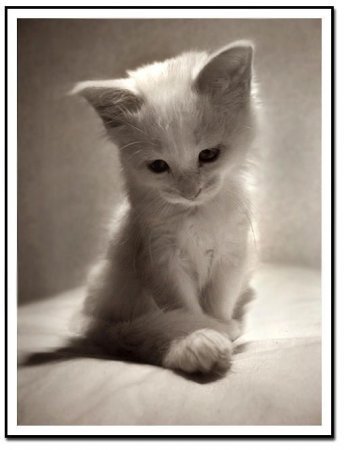 Виталий Суховерков