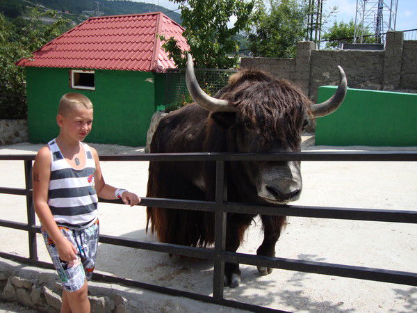 Влад Прошин