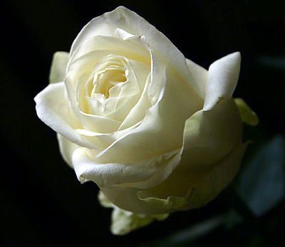 Анаргуль Жумабаева