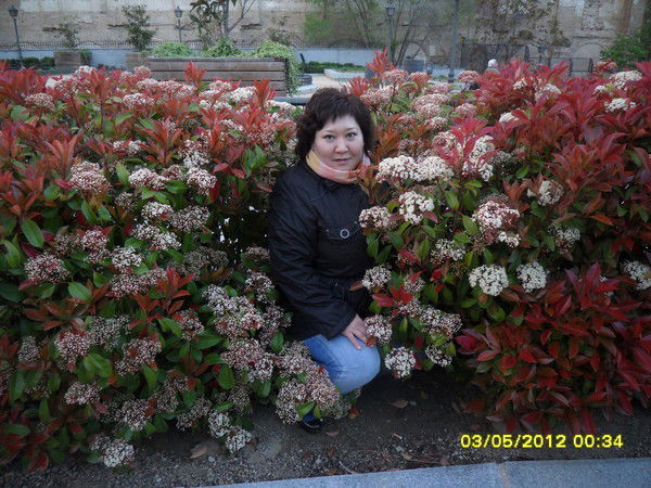 Алия Омарова