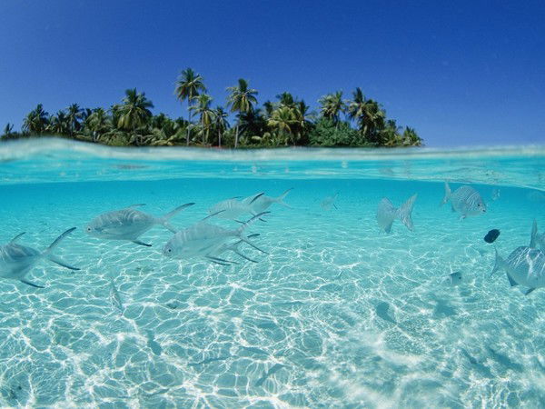 Айгуль Шакилова