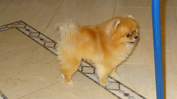 Шелестова Анна Клондайк