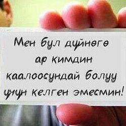 Гулжигит Kg $~$~$~$~$~$