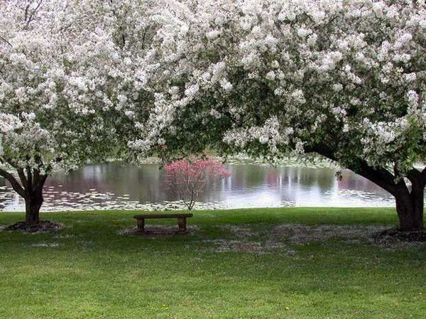 Гульназ Умм Иброхим Тулегенова