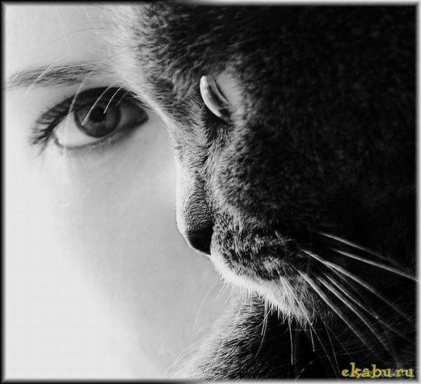 Алексей Чудинов