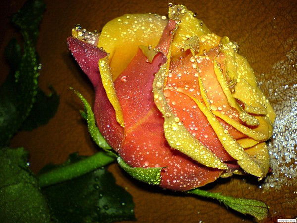 Гульмира Аимбетова