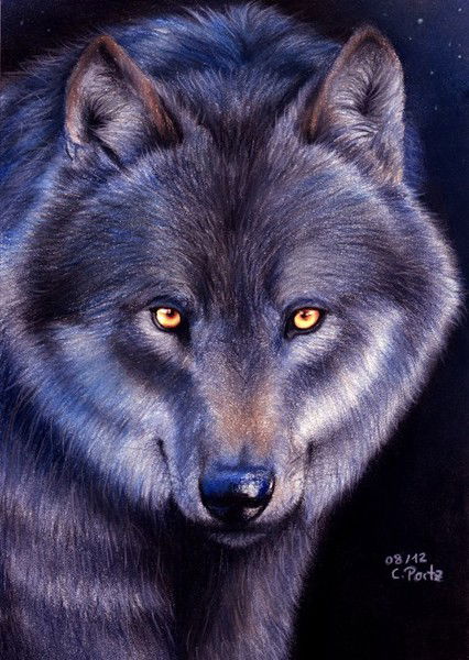 Татьяна Burchard