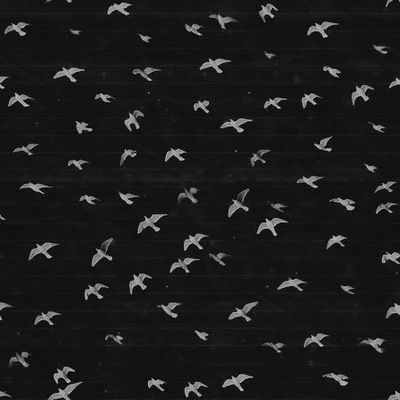 Диана Романюк