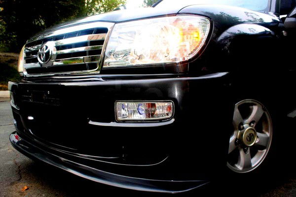 Виталий Швецов