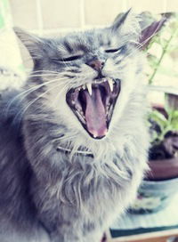 Андрей Остров