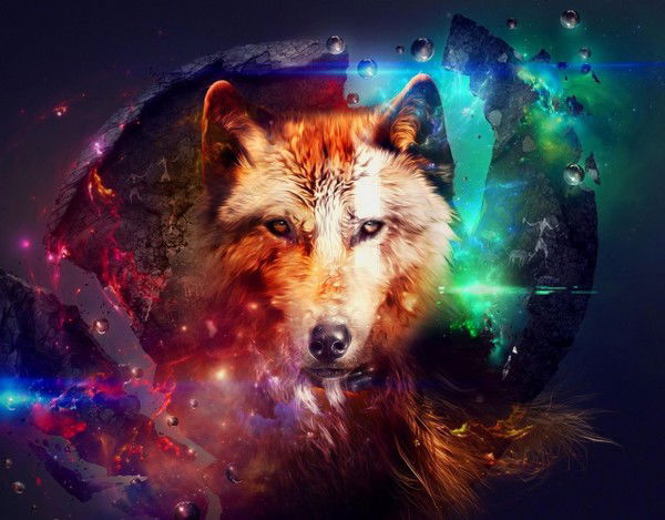 Илья Дудаков