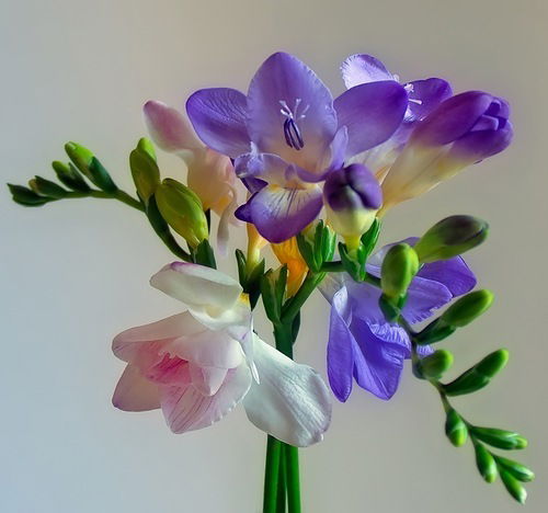 Екатерина Глушкова