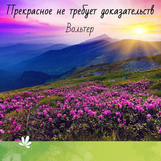 Наташа Коптиль