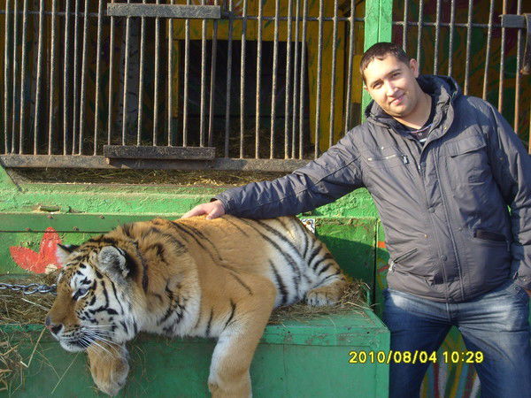 Алексей Лесков