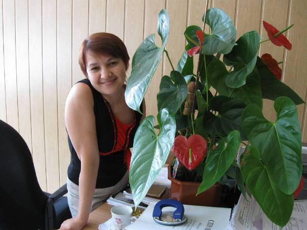 Татьяна Кулиш