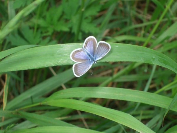 Евгения Шатохина