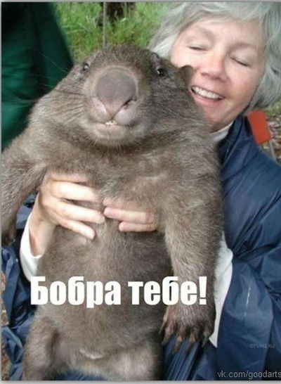 Дмитрий Прасолов