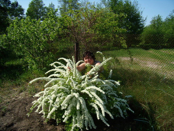 Алевтина Стулова