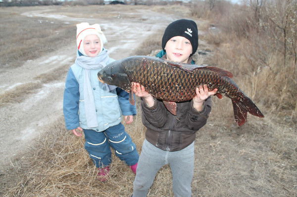 Данил Шифке