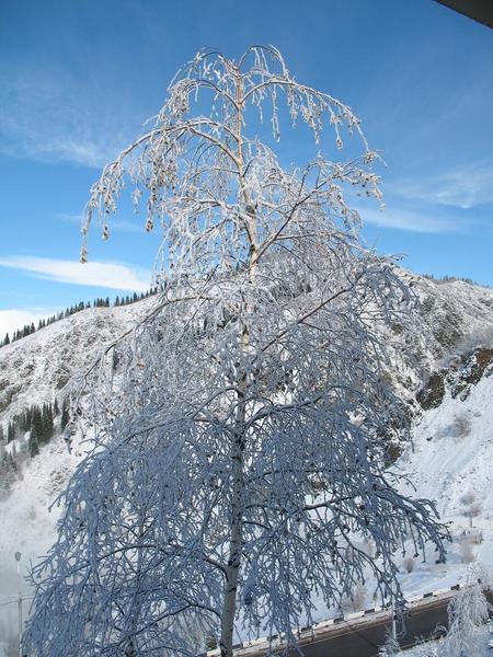 Олеся Голубева