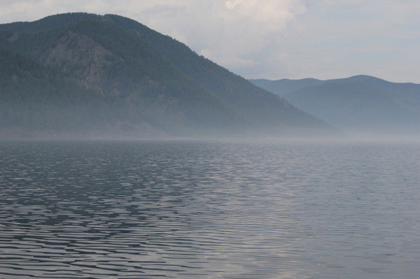 Юлия Жаркова