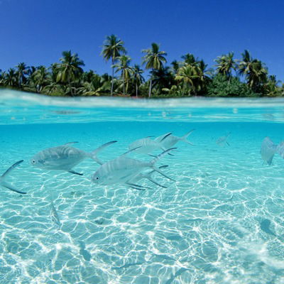 Наталия Собянина