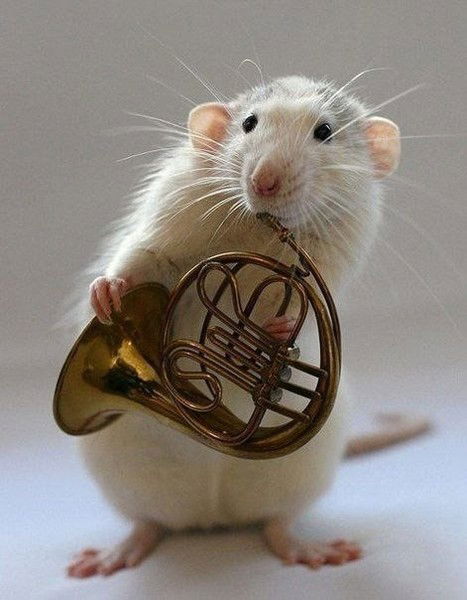 Любовь Горелова