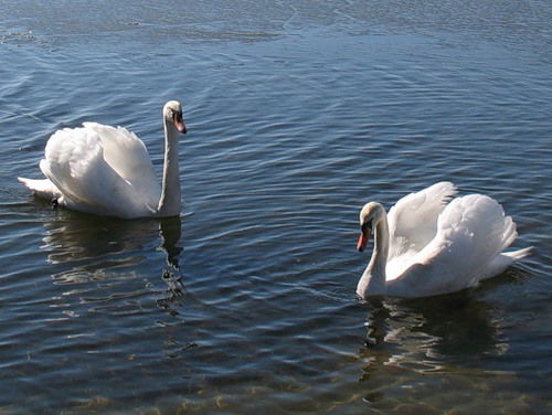 Наталия Бусыгина