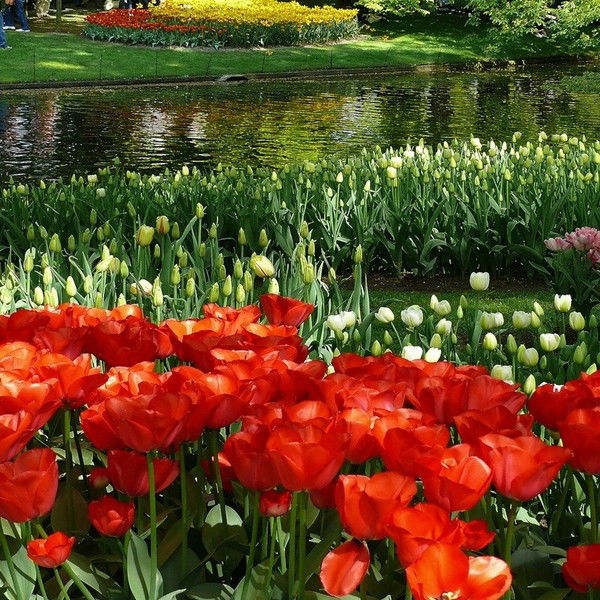 Светлана Петрова