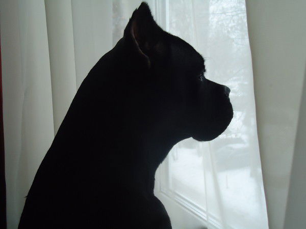 Галина Половнёва