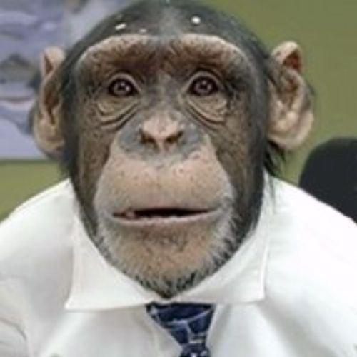 Александр Галынин