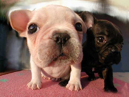 Марат Идрисов