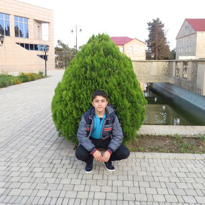 Эльгюн Гусейнов