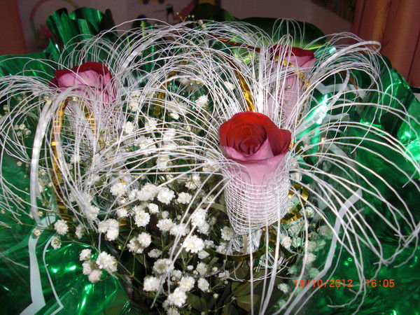 Лина Динмухаметова