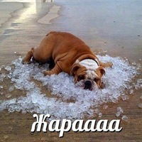 Максим Савенков