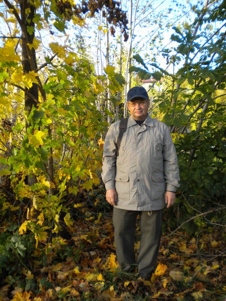 Александр Чесноков