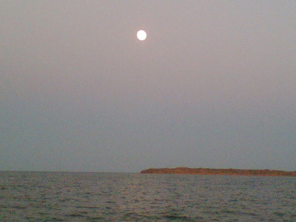 Алимжан Кыдырали